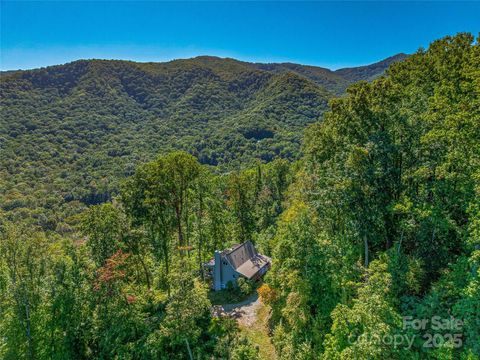 382 Black Oak Cove Road Candler NC 28715