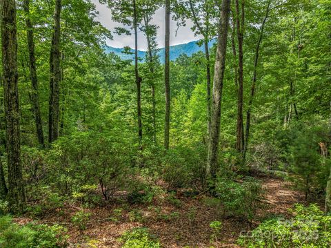72 Smokey Ridge Trail 196 Arden NC 28704