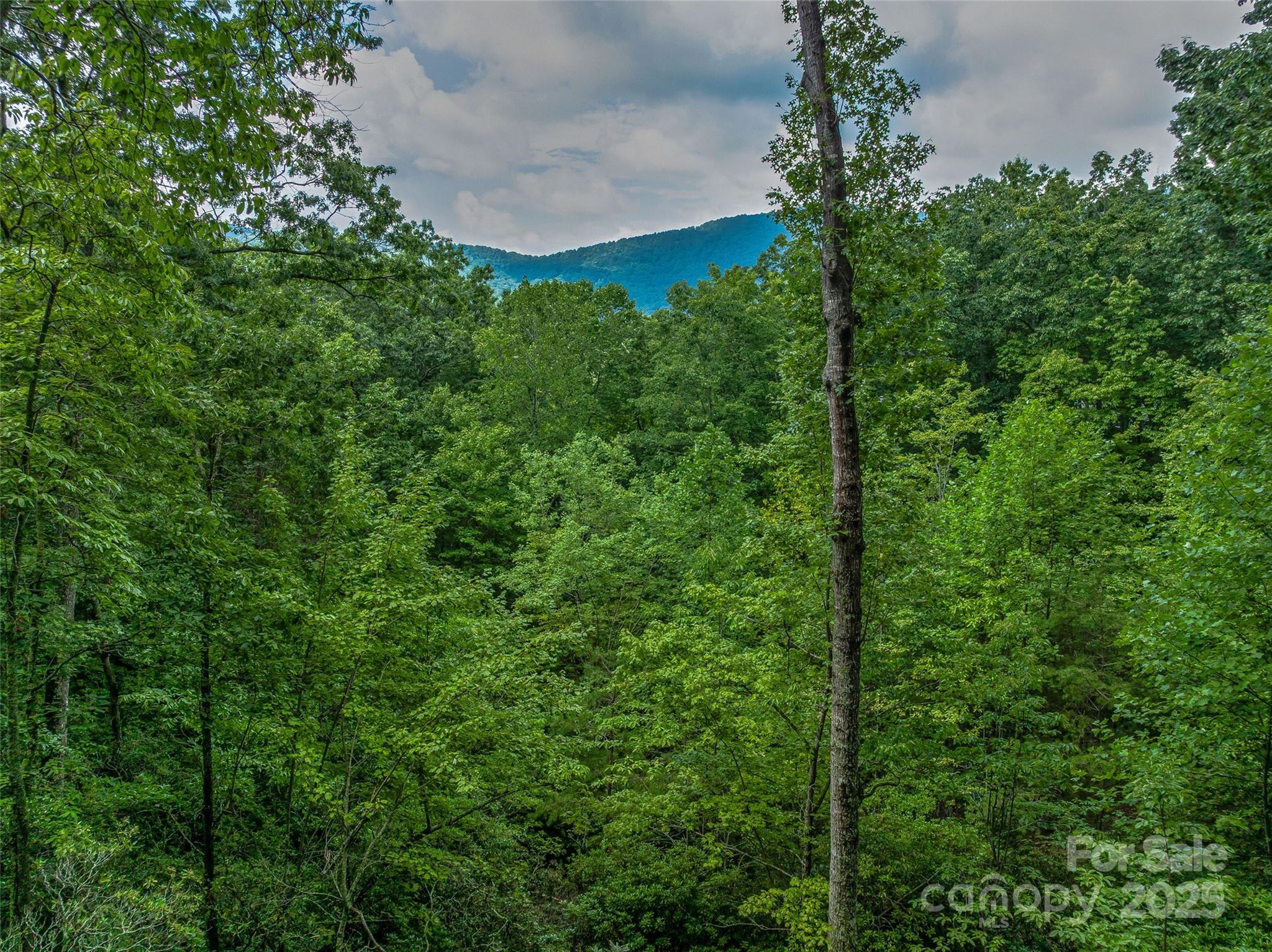72 Smokey Ridge Trail 196