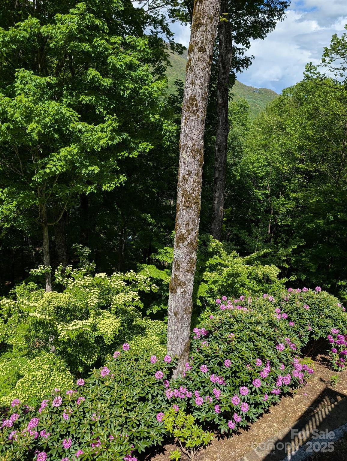 Villages Of Plott Creek - Residential