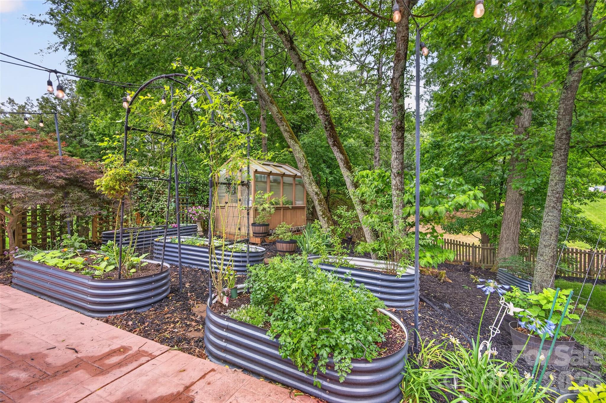 Back Creek Forest - Residential