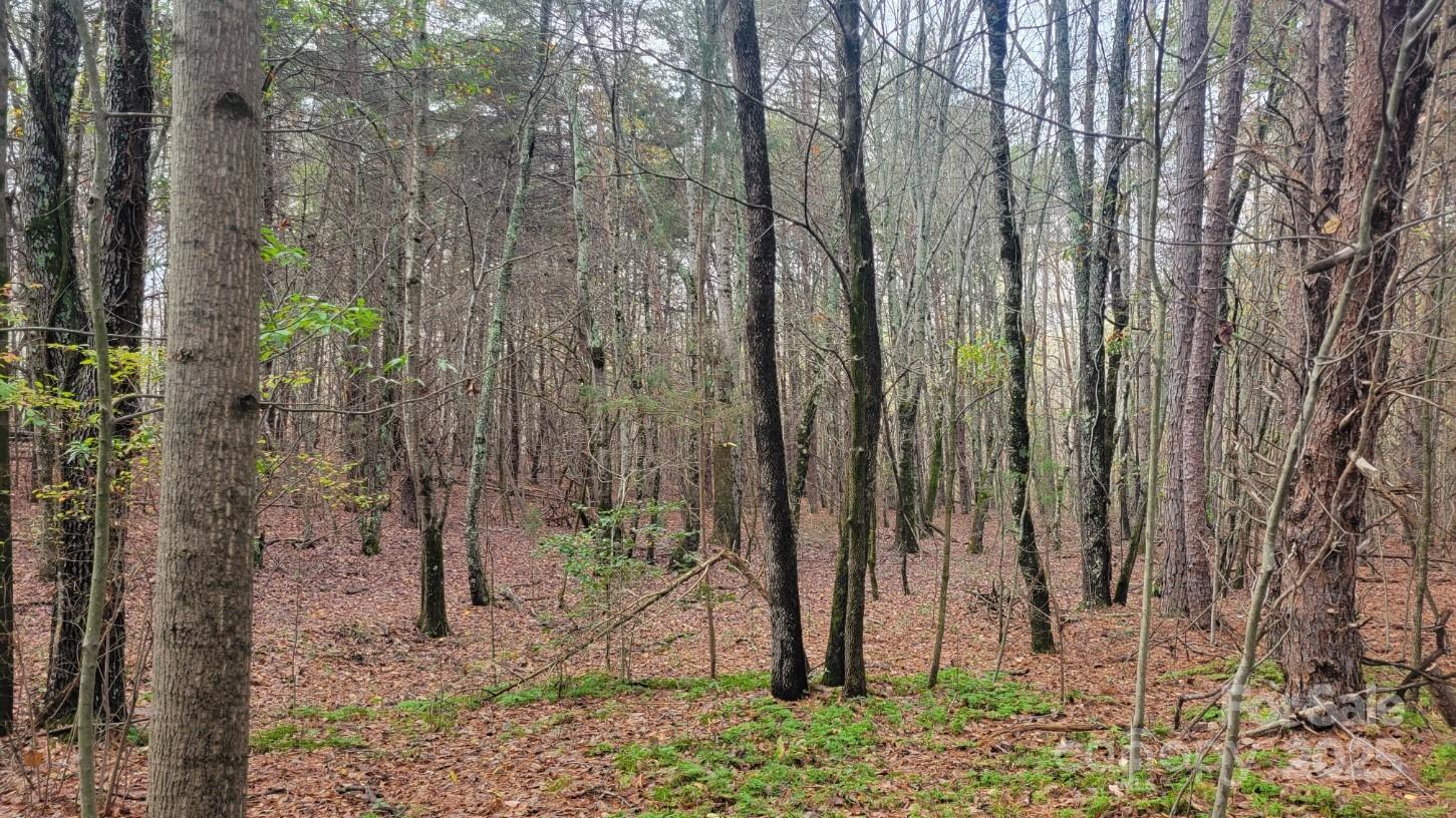 0000 Indian Creek Road