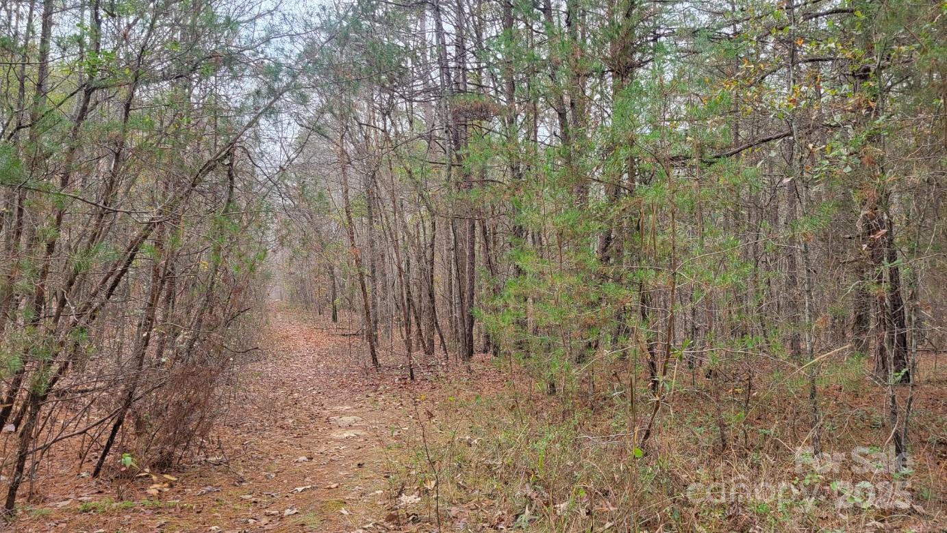 0000 Indian Creek Road