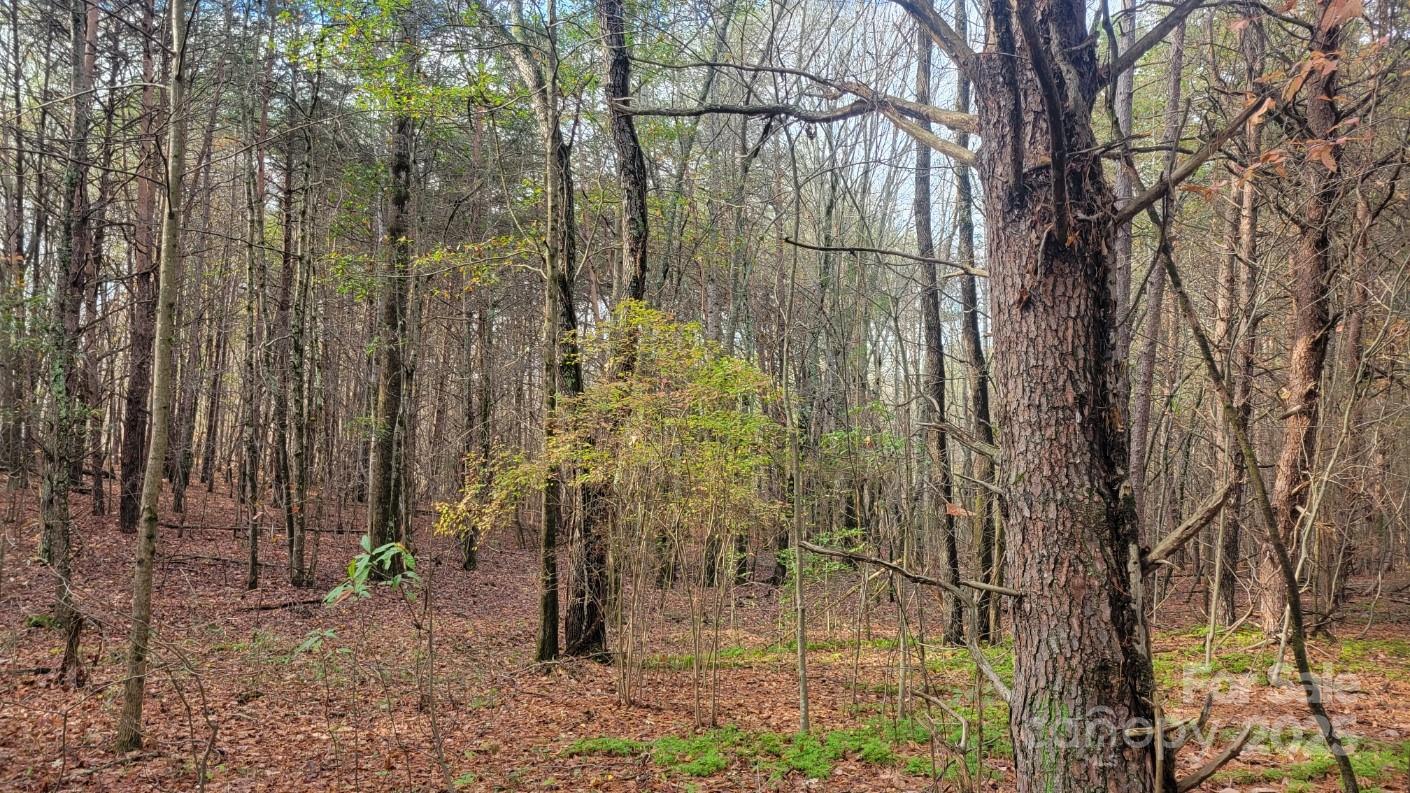 0000 Indian Creek Road