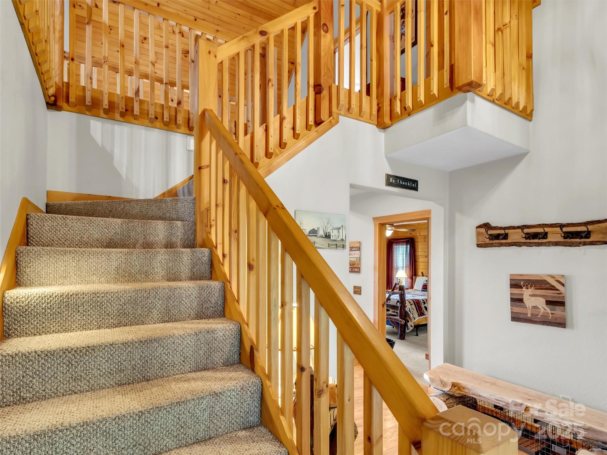 Hills Of Cataloochee - Residential