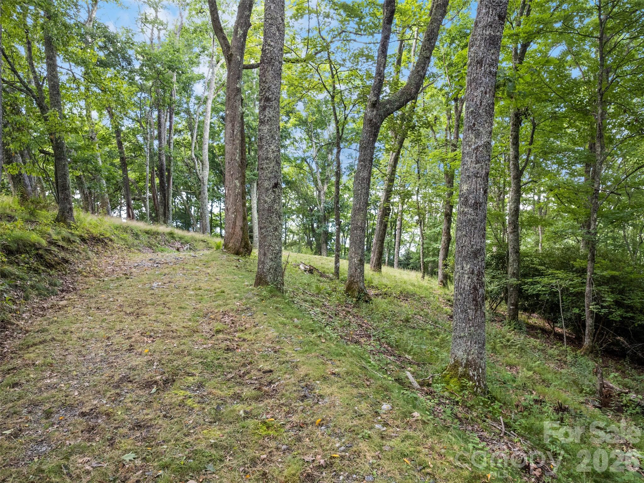 000 Wagon Trail Road