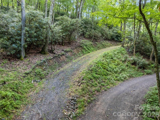4 WAGON TRAIL RD, MAGGIE VALLEY, NC 28751 - Image bbd98d28c3af8d3d85fbf5eecbda65e0/4219999892