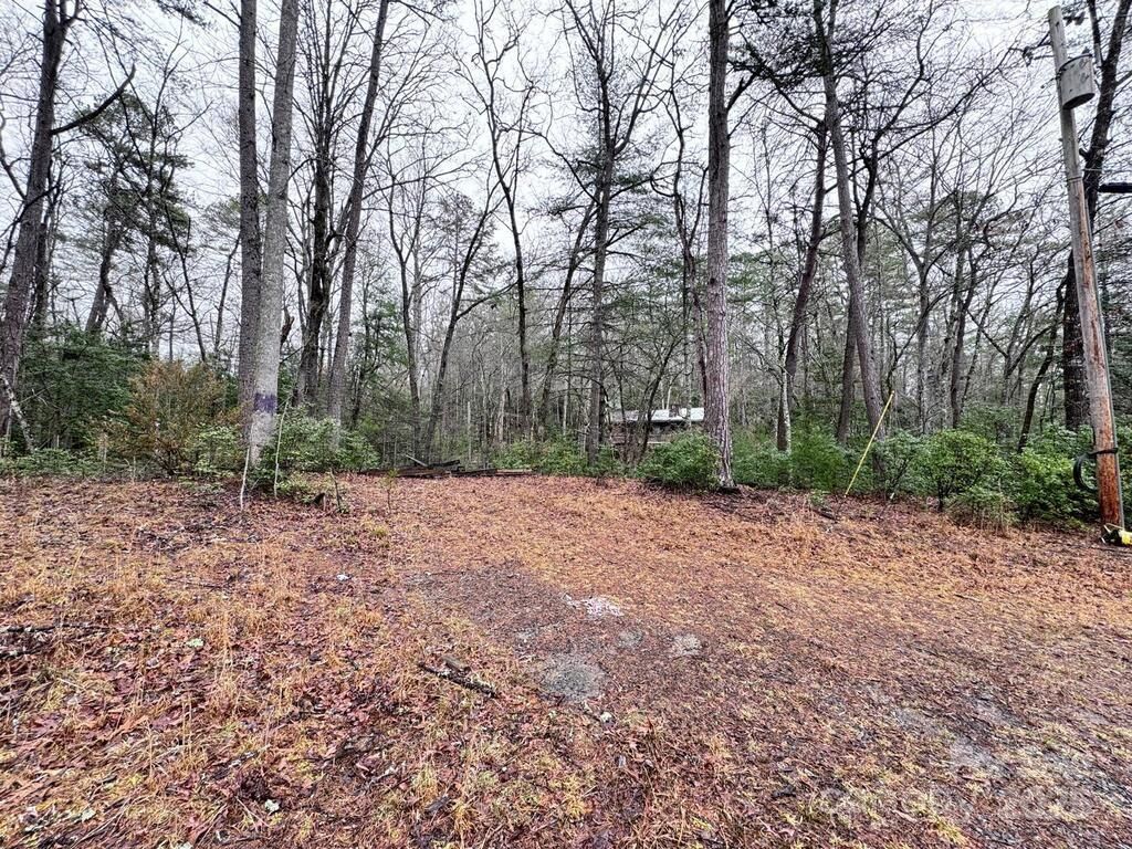 listing image 24