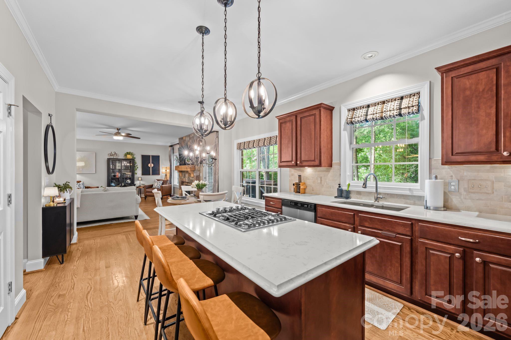 Ballantyne Meadows - Residential