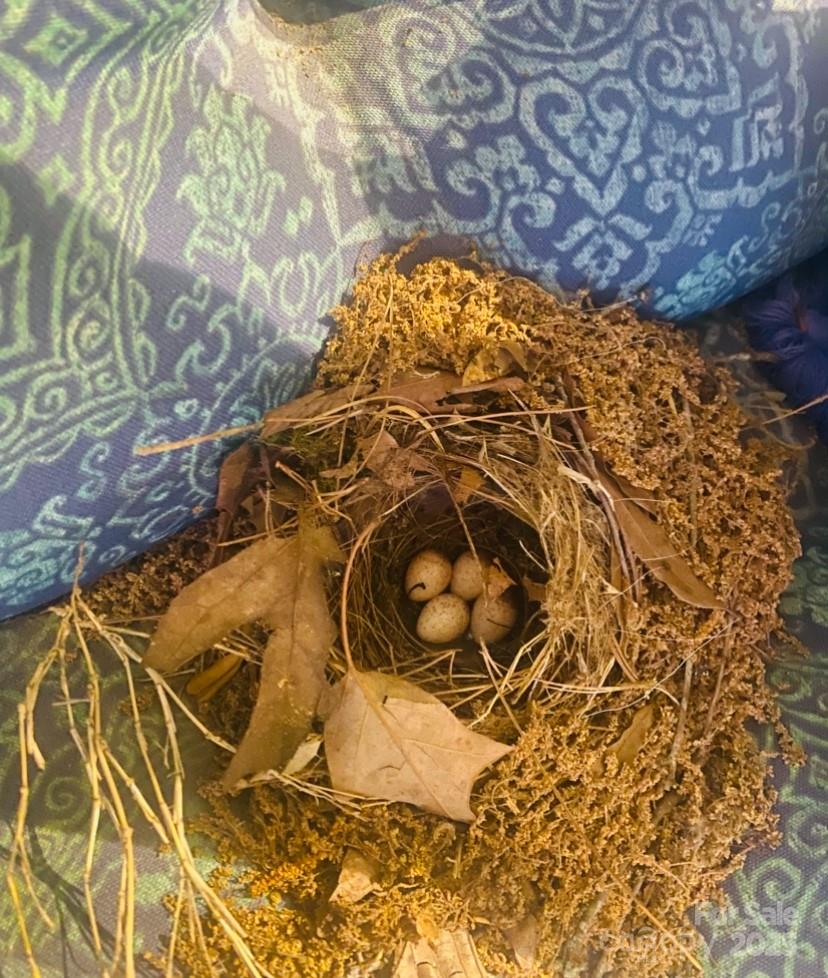 Stonehaven - Residential