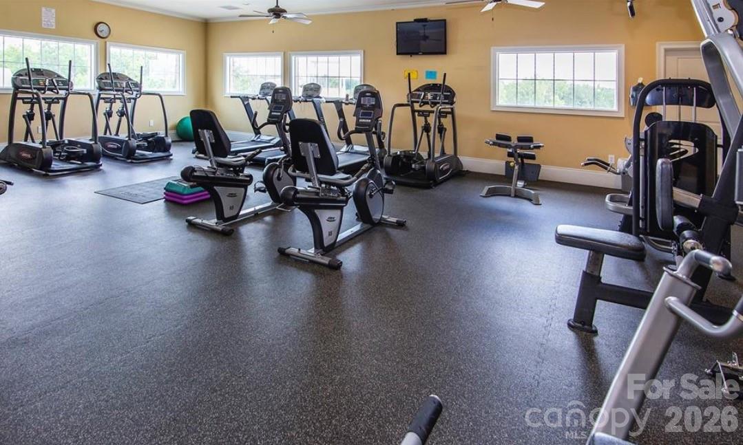 Massey - Residential