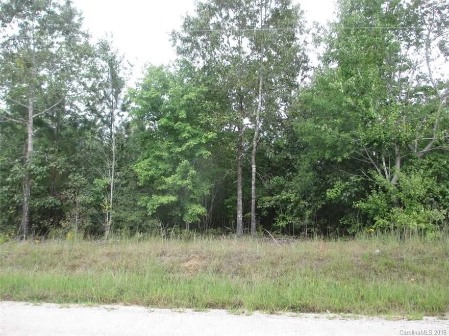 This wooded acreage is a portion of a 17.1 acre tract and will be subject to a buyer's new survey. Septic permit is required, has not been perked.