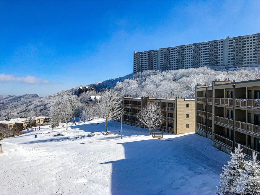 Welcome to your winter wonderland retreat! This fully furnished, 2 BD/2BA ski in/ski out condo is located in Sugar Ski & Country Club - the only true ski in/ski out resort on Sugar Mountain. Unit 425 is located in building 4 at the top of the Omas Meadow Lift. Enjoy views of the slopes & the surrounding mountains. Inside you'll find 2 bedrooms & 2 full sized bathrooms including laundry in the unit! The kitchen, dining, & living areas are located on the slope side of the unit with a cozy fireplace offering views! If snow sports aren't your hobby, sit on the covered deck and watch skiers exiting the chair lift or take in the mountain views. The Sugar Ski & CC clubhouse was completed in 2021 & includes an indoor pool, fitness center, sauna, and hot tub plus pickleball in the warmer months. Say goodbye to shuttle rides and embrace the convenience of being steps away from the slopes. If you're looking for an investment property, condos at Sugar Ski & CC are managed onsite by the HOA.