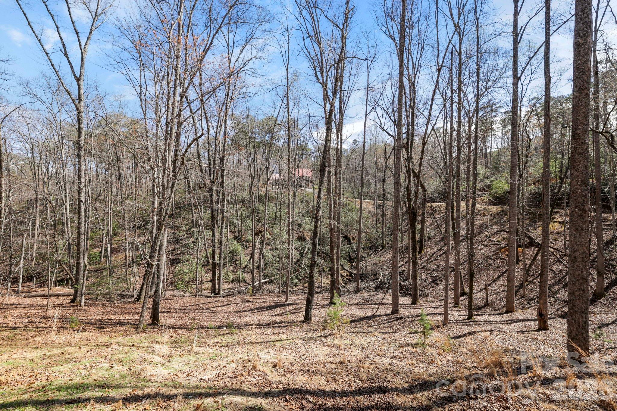 Riverbend at Lake Lure - Residential