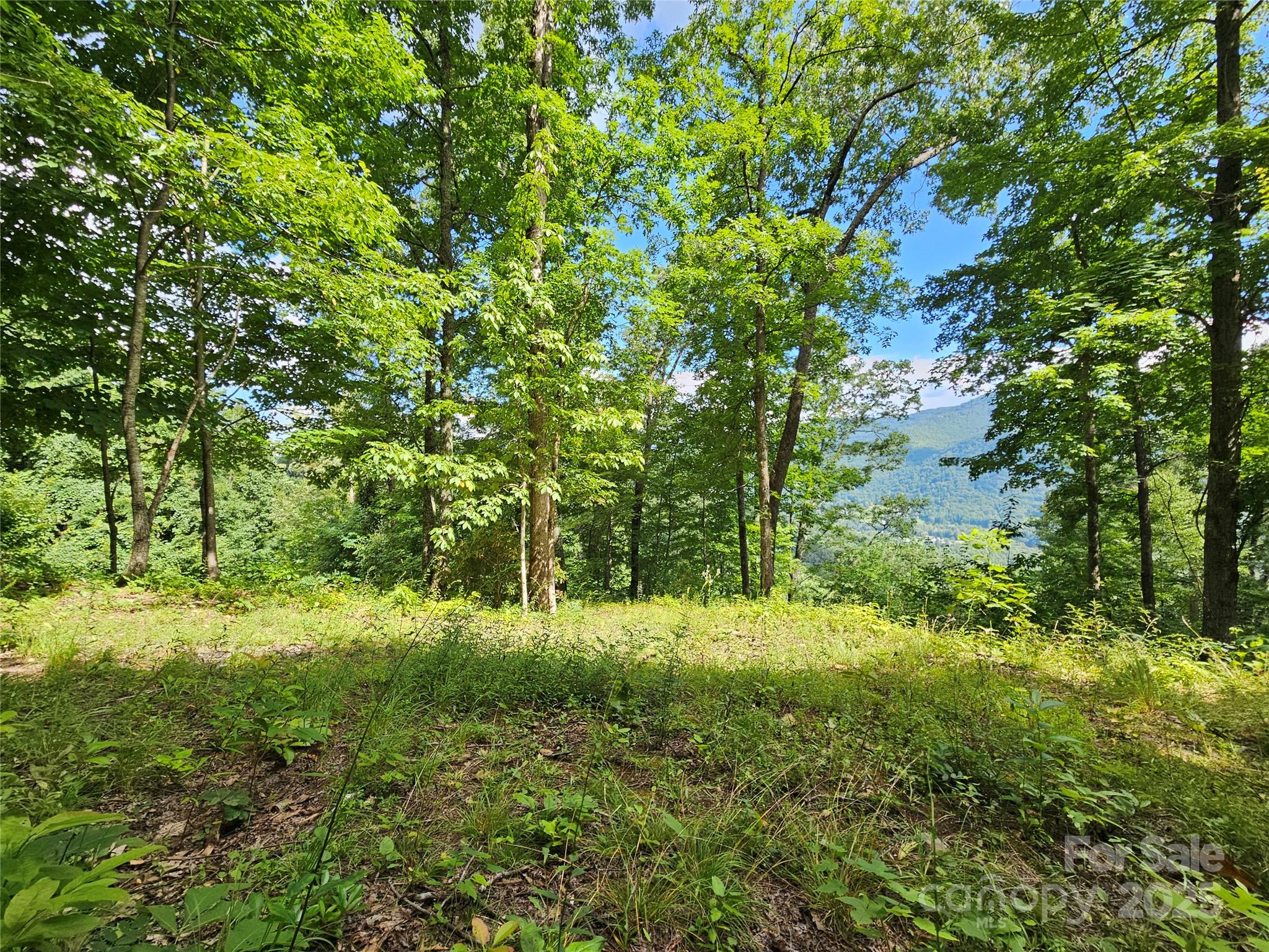 Boulder Ridge - Land