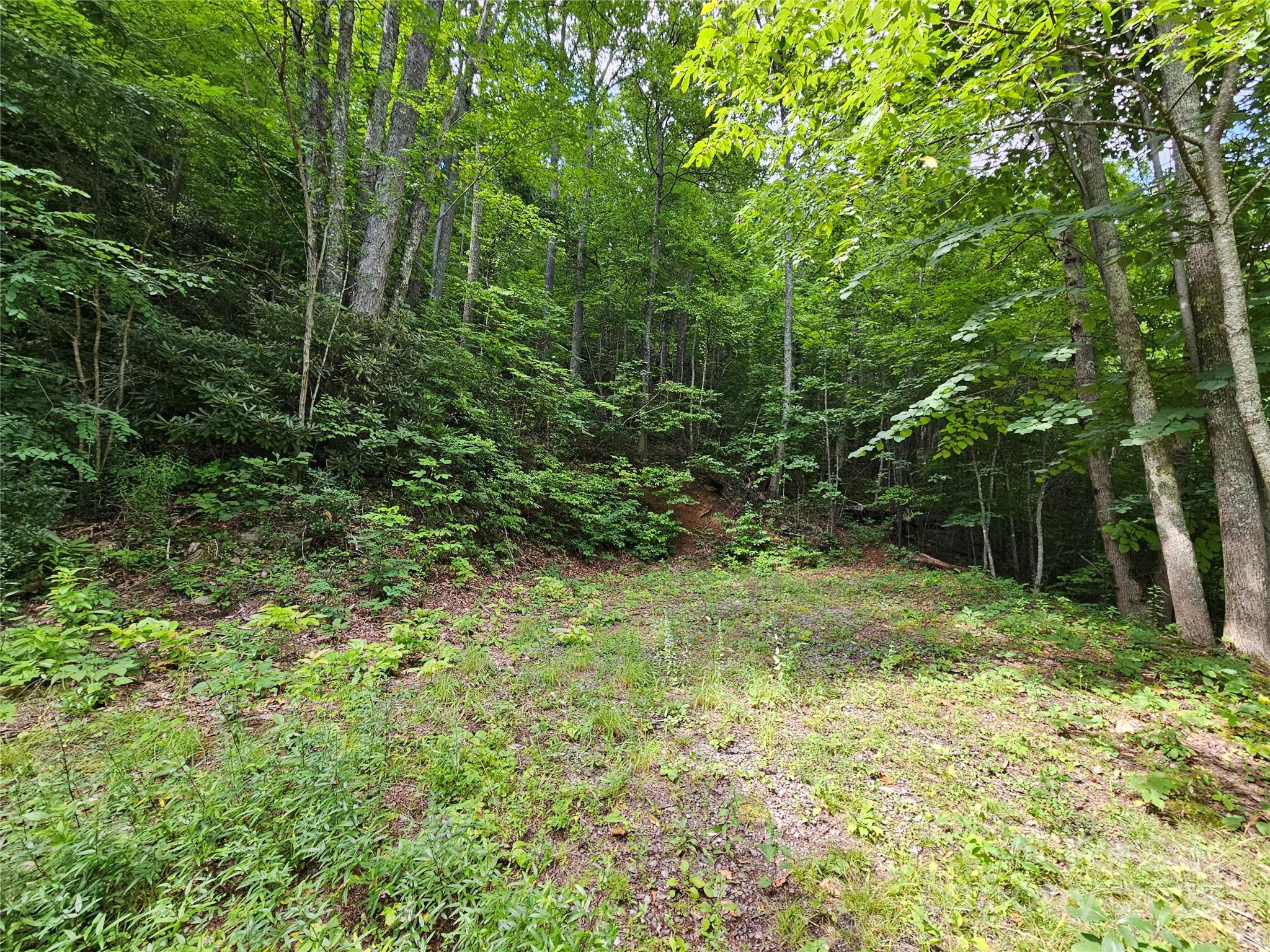 Boulder Ridge - Land