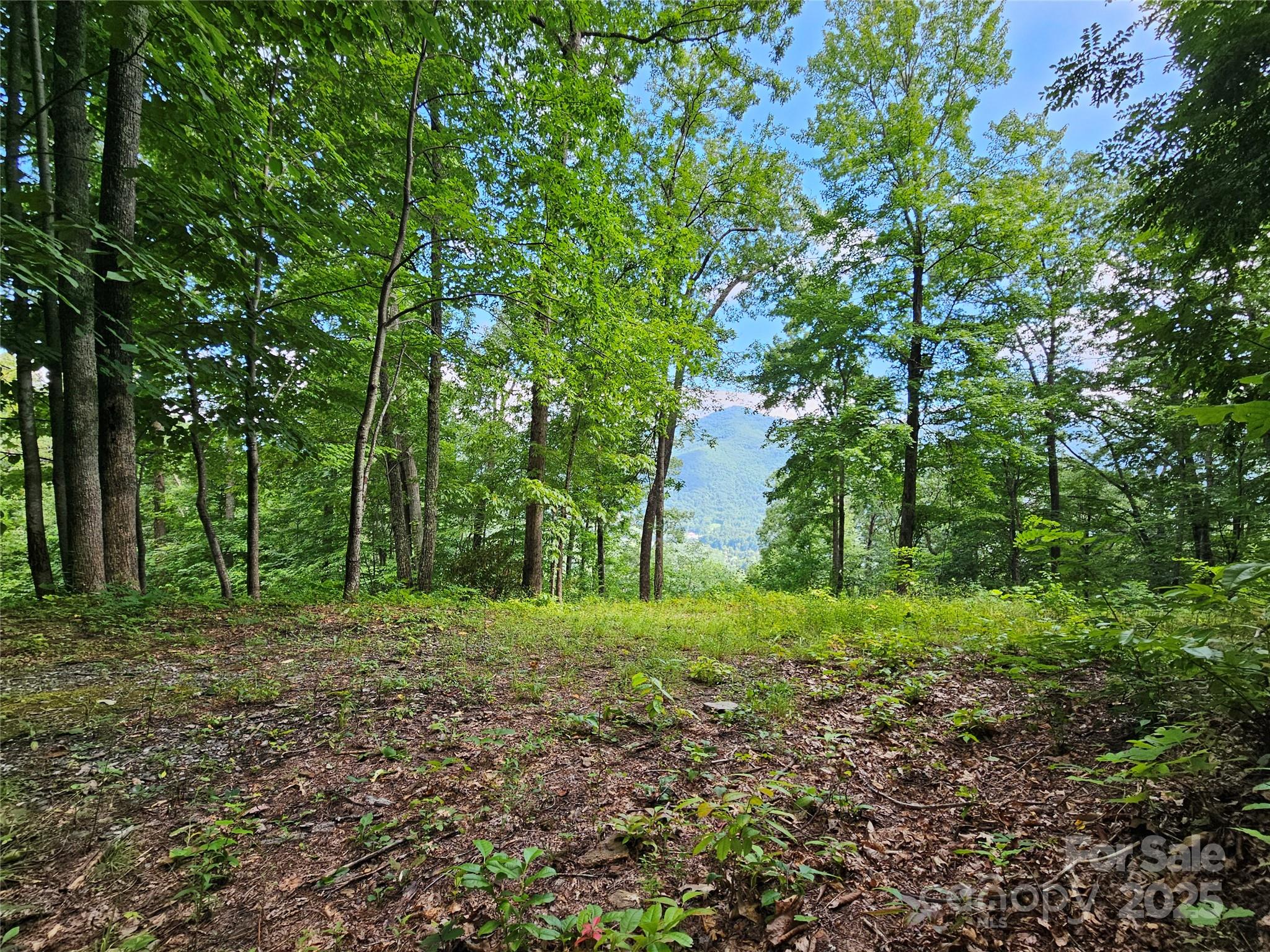 Boulder Ridge - Land