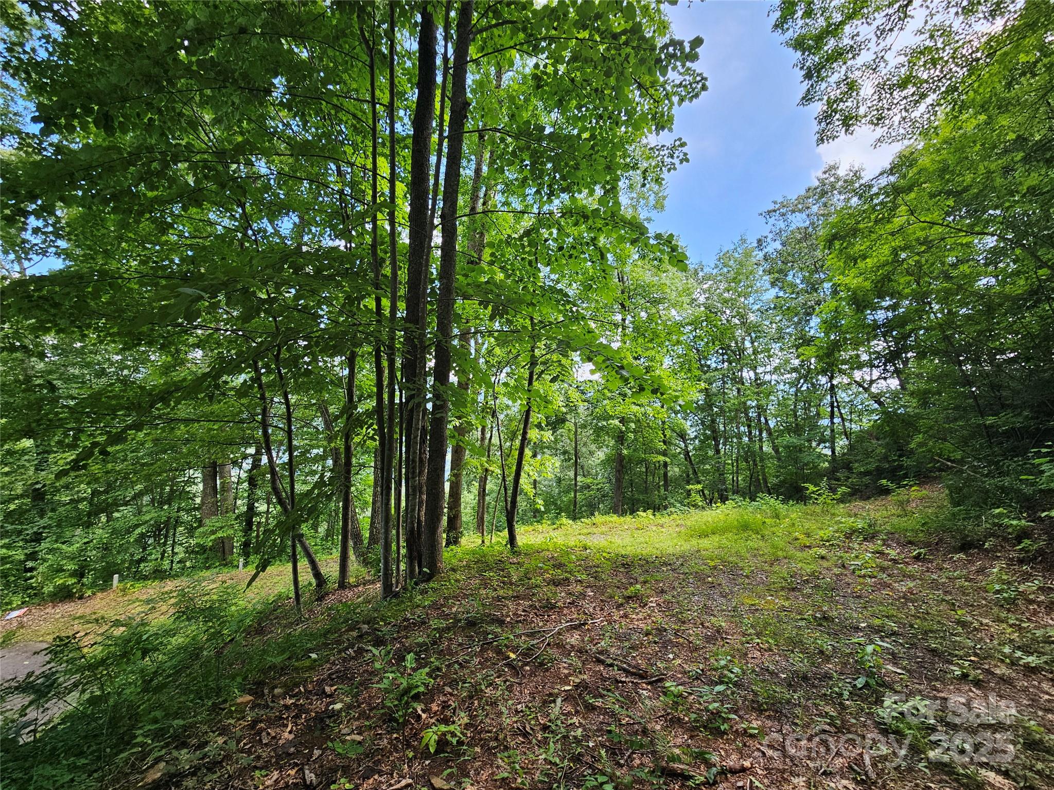 Boulder Ridge - Land