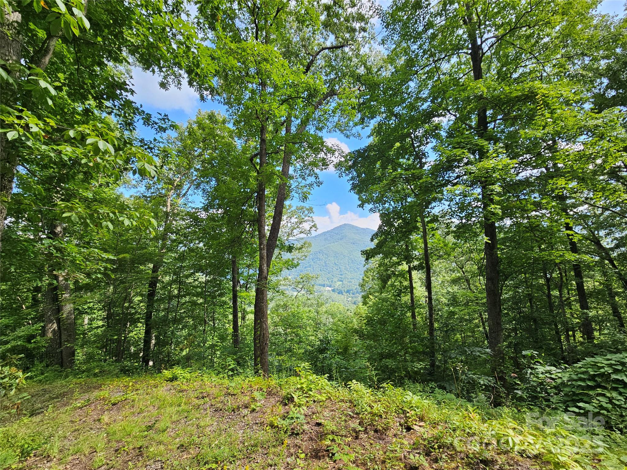 Boulder Ridge - Land