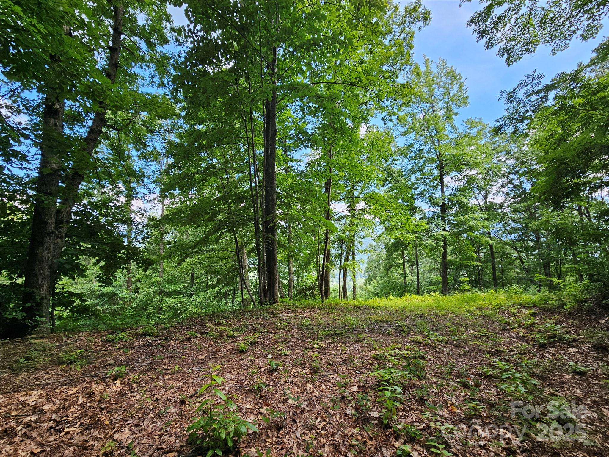 Boulder Ridge - Land