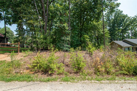 Photo of 0 Sarah Drive #119, Denver, NC 28037 (MLS # 4407865)