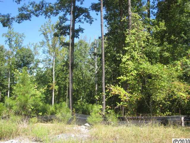 Palm Tree Cove - Land