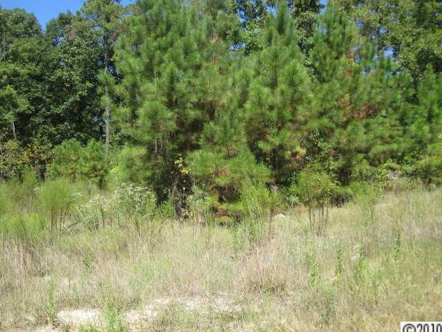 Palm Tree Cove - Land