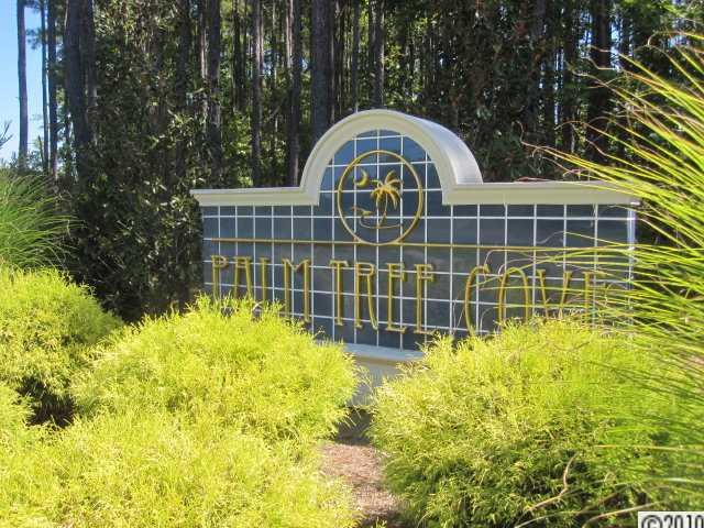 Palm Tree Cove - Land