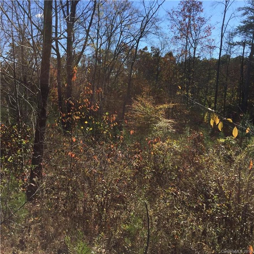 PRICED TO SELL!!! Beautiful corner lot in the gated community of Clearwater Creek! 1.80 partially wooded acres with excellent building sites to choose from to build your DREAM home or weekend getaway! Peaceful country living within minutes of hospital, shopping, and major highways! Common Area for your family and friends to enjoy! A must see!