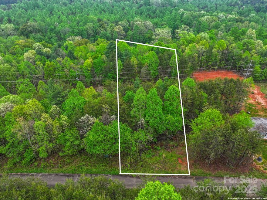 Build your dream home on this peaceful 1.02-acre lot set within the quiet Ellens Way subdivision. This flat, wooded parcel offers a natural, private setting—an ideal canvas to design a custom home with room to roam. Bring your own builder and enjoy the flexibility of no HOA. While you'll feel tucked away from the hustle and bustle, you’re still within reasonable driving distance to shopping, dining, and services in nearby towns like Lincolnton and Hickory. Perfect for those seeking space, privacy, and the charm of rural life. Septic and well needed. Drive by and imagine the possibilities—your dream home starts here! Utility easement on the property.