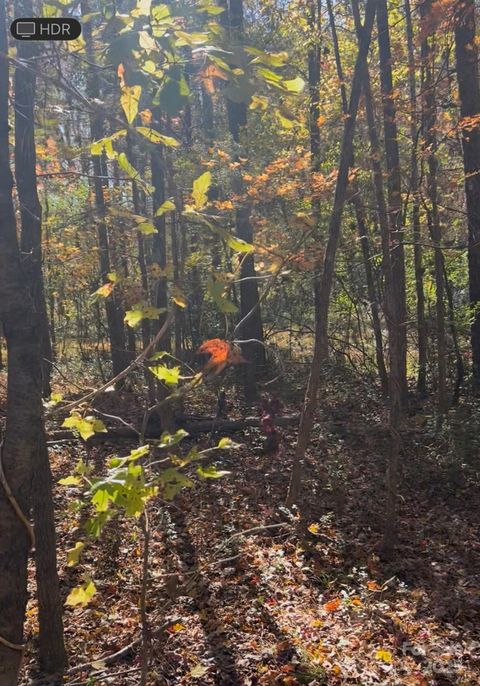 Photo of 0 Snuggs Park Road, Albemarle, NC 28001 (MLS # 4320497)