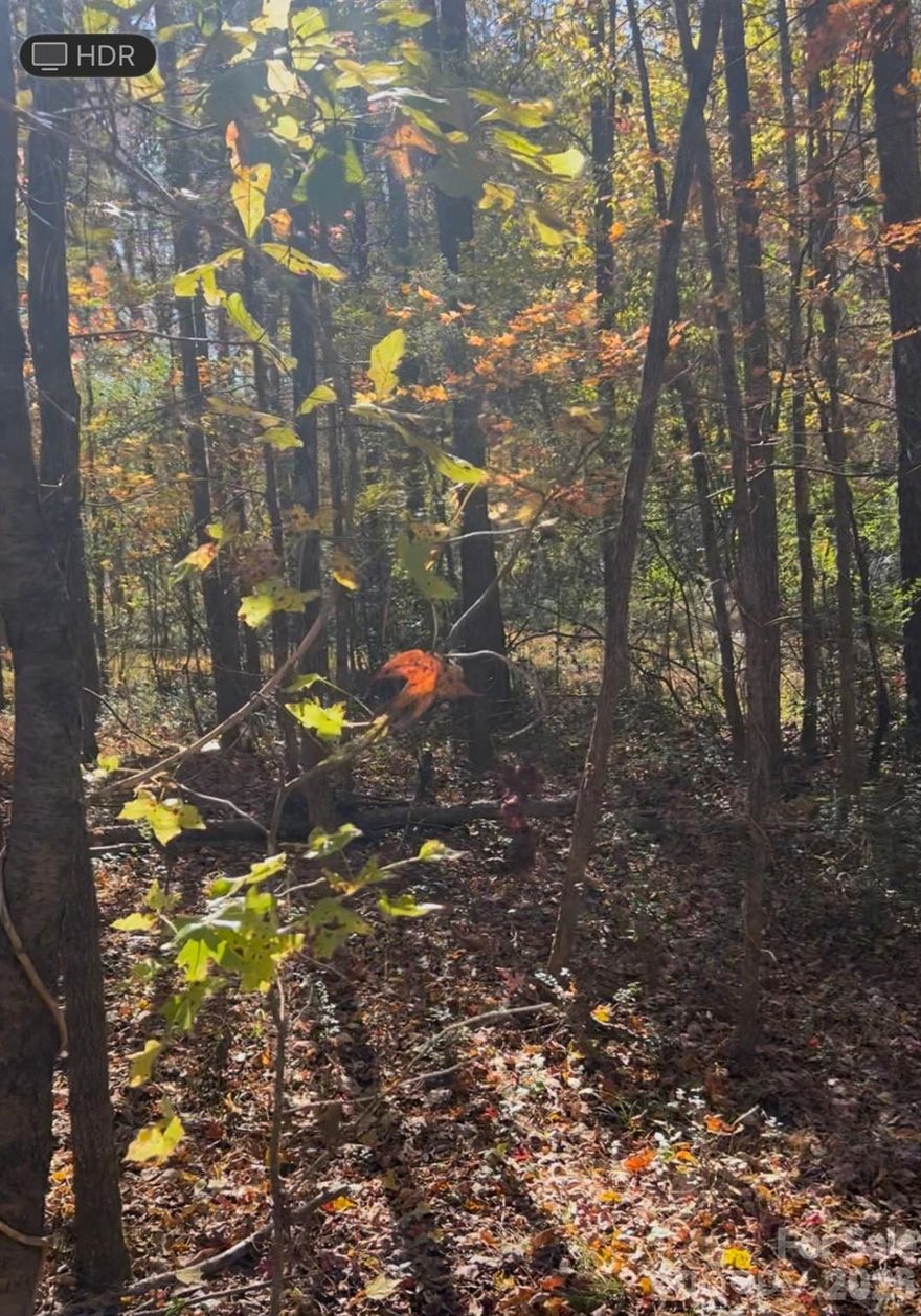 Scenic 5-acre(combined) lot on Snugs Park Rd featuring a beautiful creek frontage and over 3 acres of buildable land outside the flood plain. The front parcel offers serene natural views, while the rear acreage provides the perfect site for your dream home!  Peaceful country feel with city conveniences nearby.  Build your dream home or invest in a great spot for a little community!  Must build on the back 3 acres which is zoned RA.  No Perc test on file.