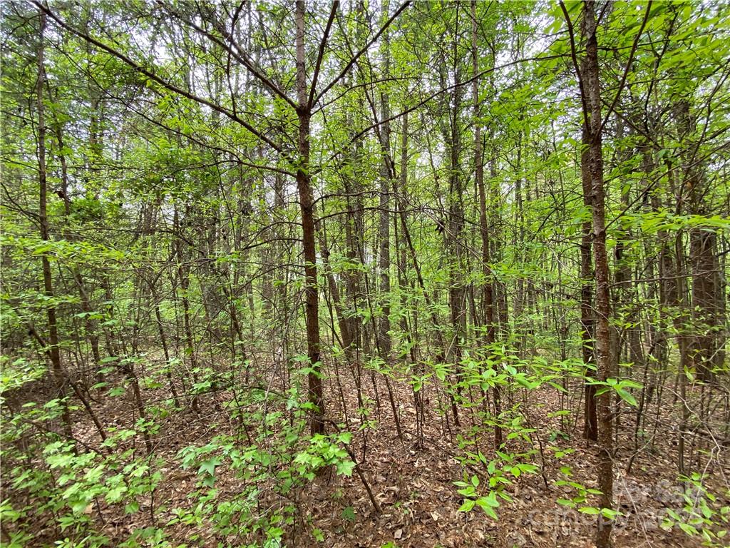 Sundance Hills - Land