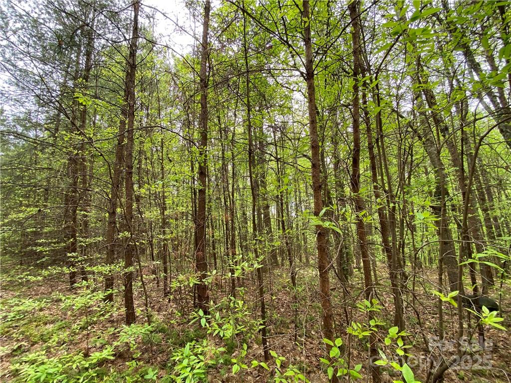 Sundance Hills - Land