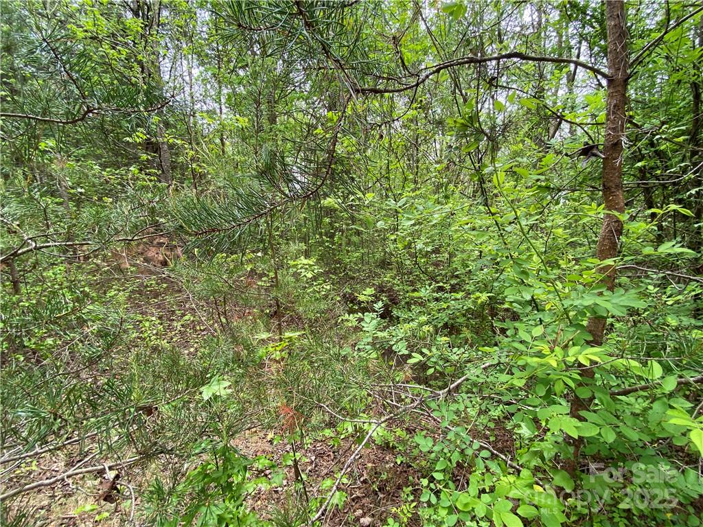 Sundance Hills - Land