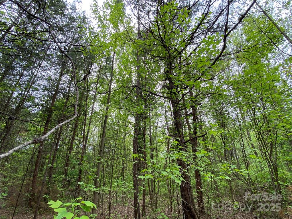 Sundance Hills - Land