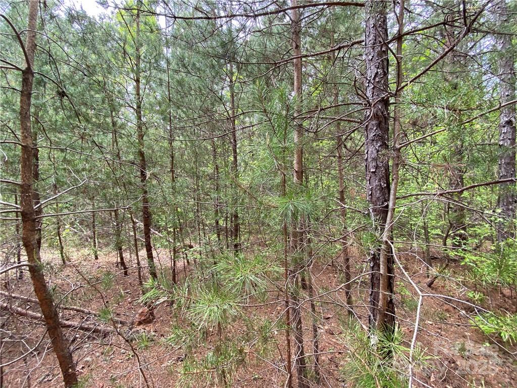 Sundance Hills - Land