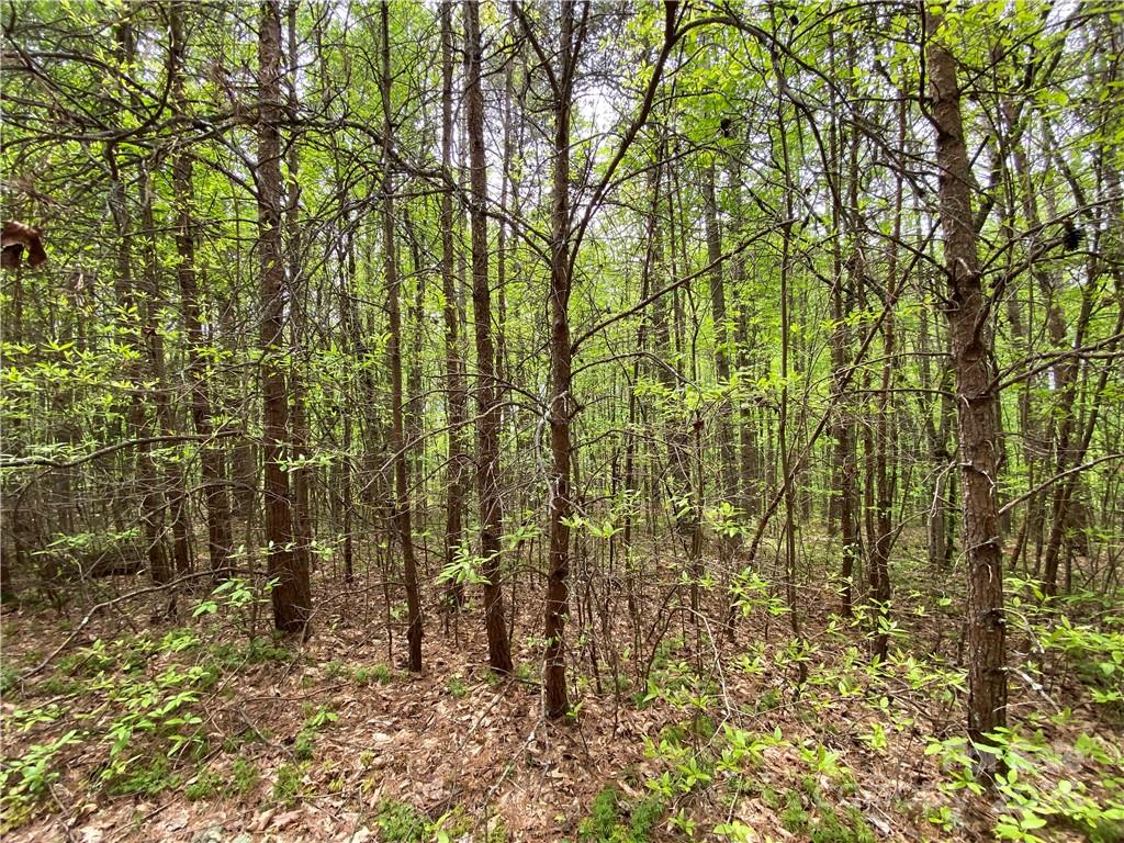 Sundance Hills - Land