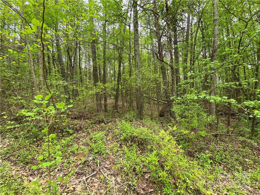 Sundance Hills - Land