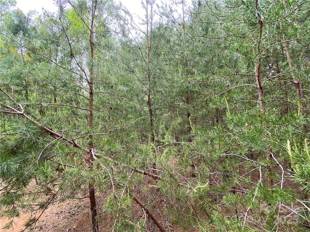 Sundance Hills - Land