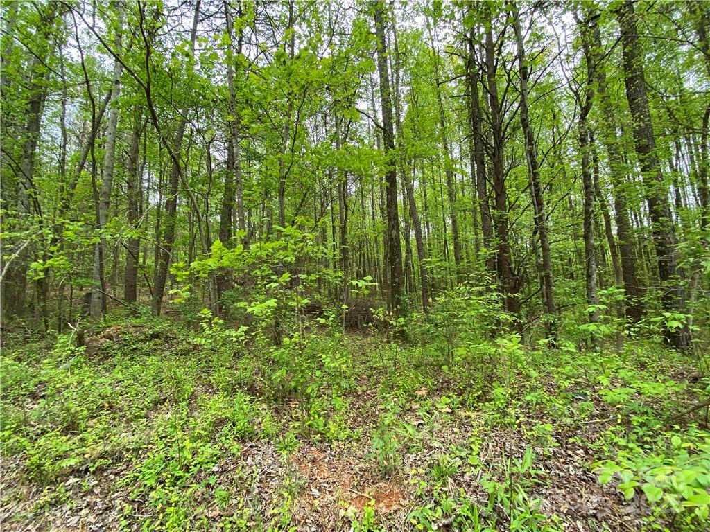 Sundance Hills - Land