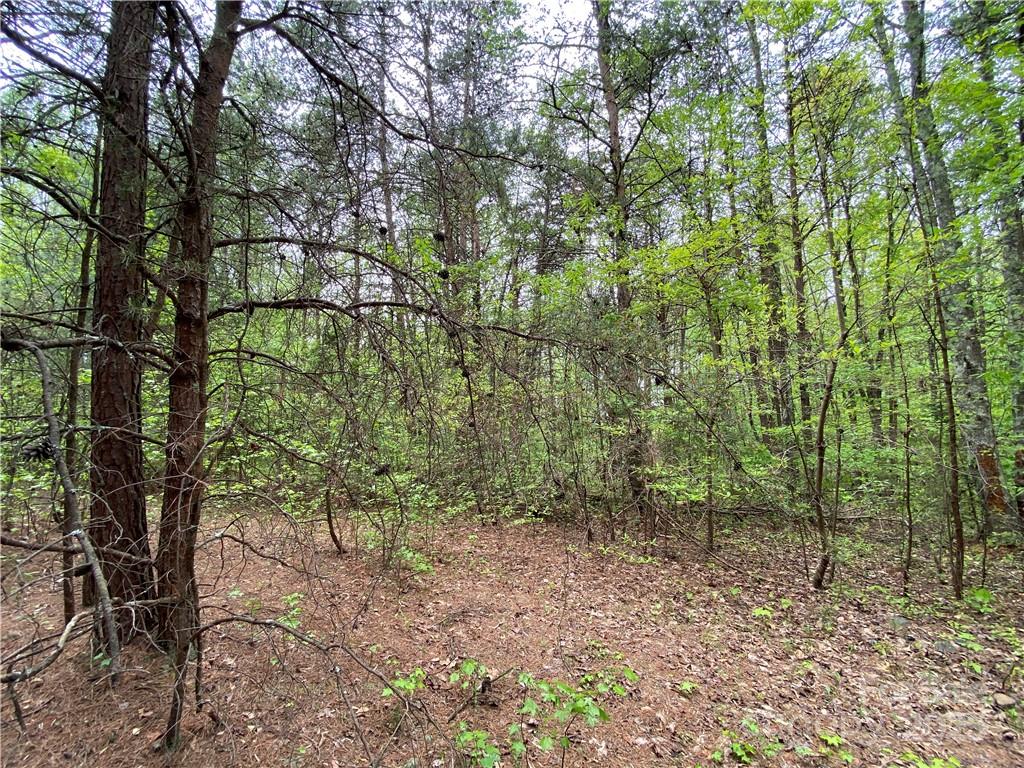 Sundance Hills - Land