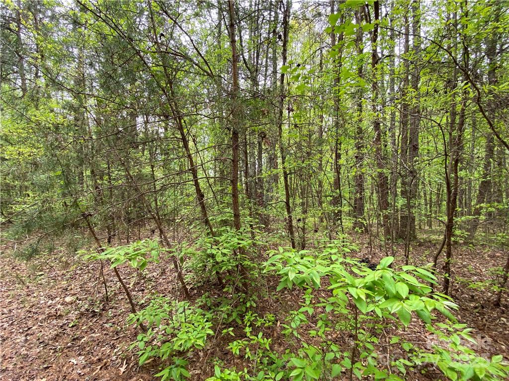 Sundance Hills - Land