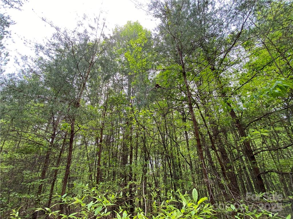 Sundance Hills - Land