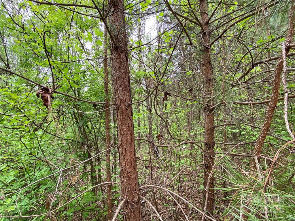 Sundance Hills - Land