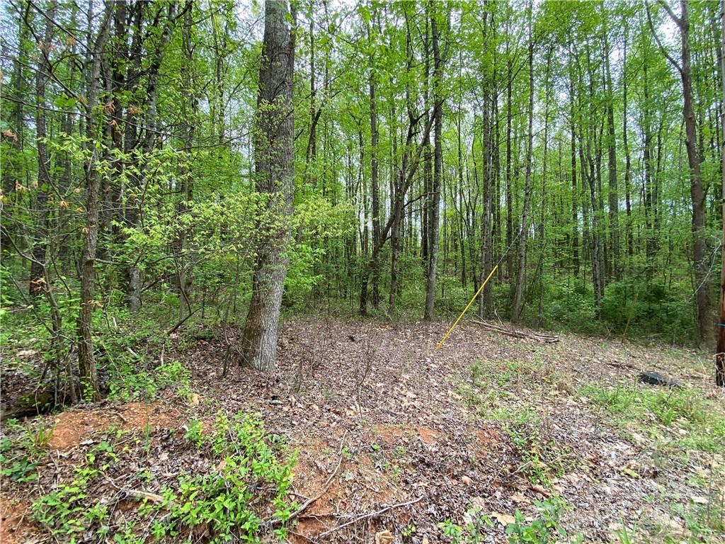 Sundance Hills - Land