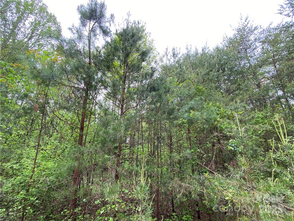 Sundance Hills - Land