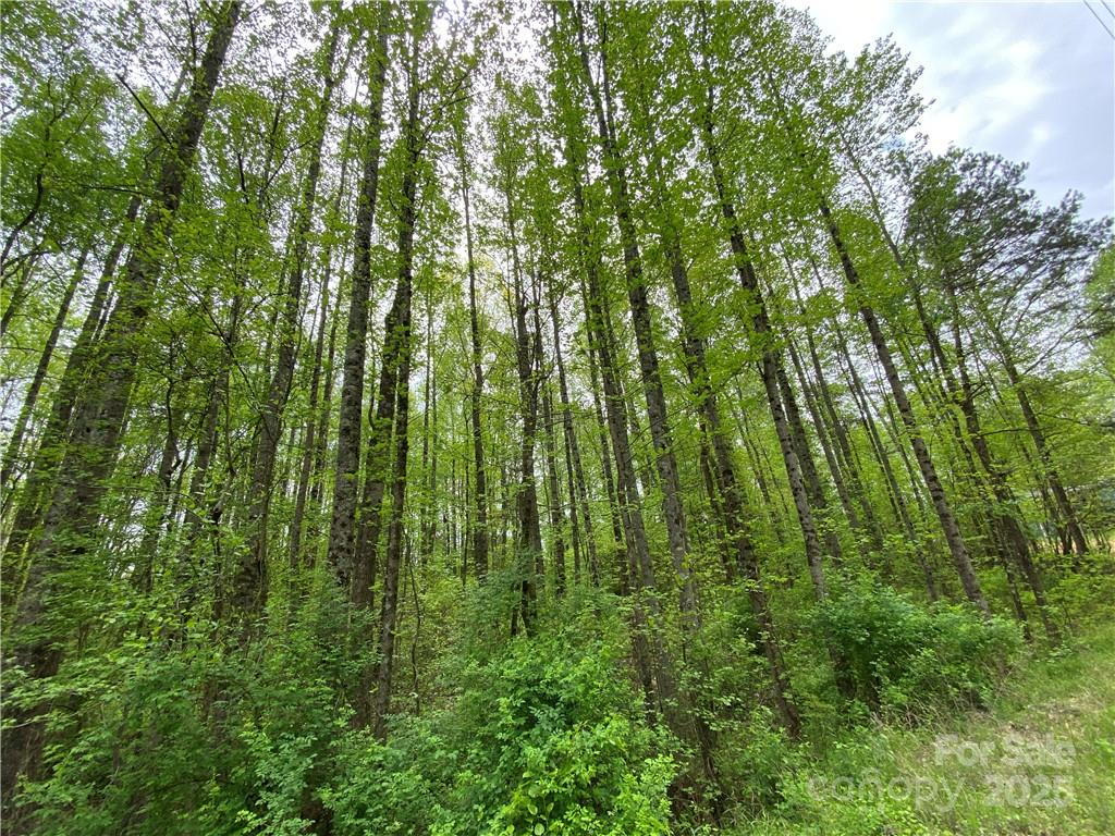 Sundance Hills - Land