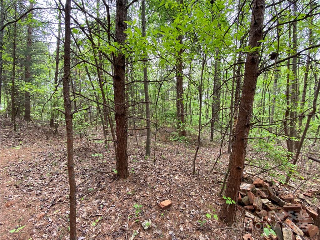 Sundance Hills - Land