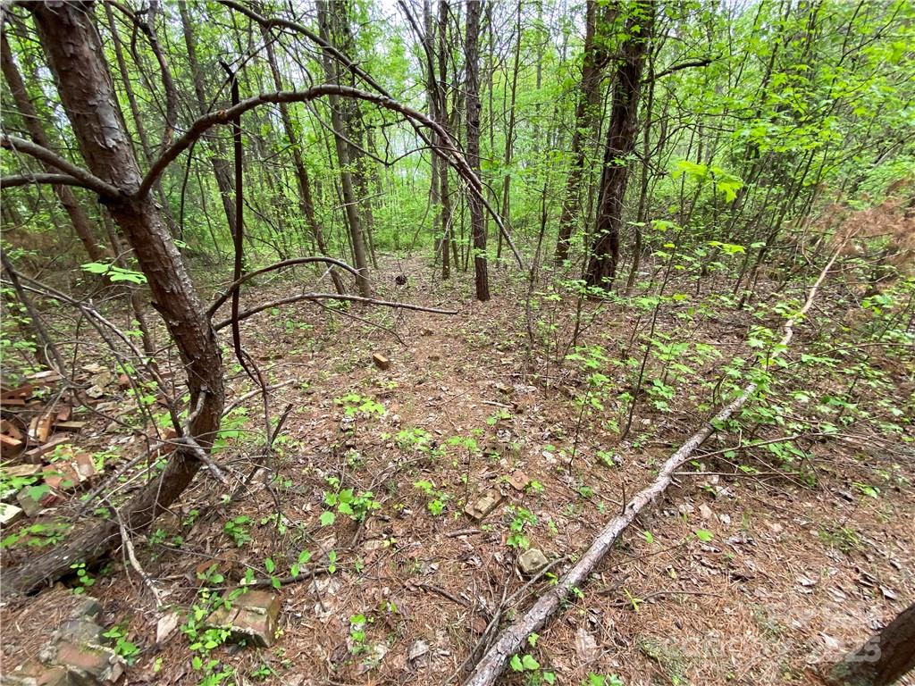 Sundance Hills - Land